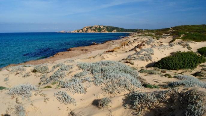 Lu Litarroni en Sardaigne, le charme d'une plage où la maquis méditerranéen rencontre le granit