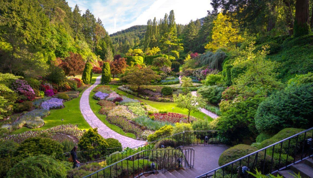 Que faire et voir à Victoria, ville britannique du Canada